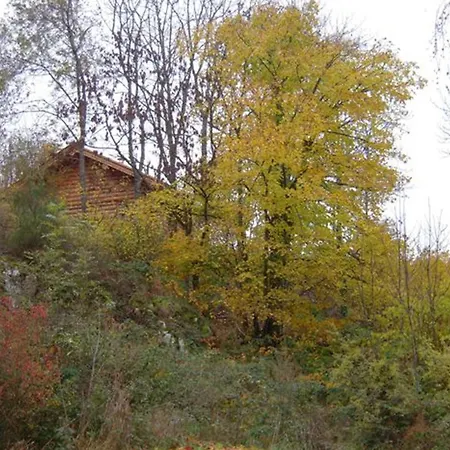 Rustique Avec Poele A Bois - 3 Pers, Animaux Admis * Saint-Martin-la-Sauvete